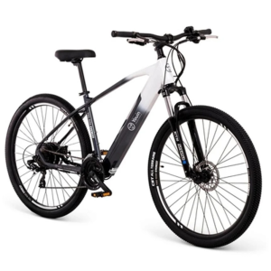 Bicicleta Elétrica YOUIN You-Ride Everest2 L
